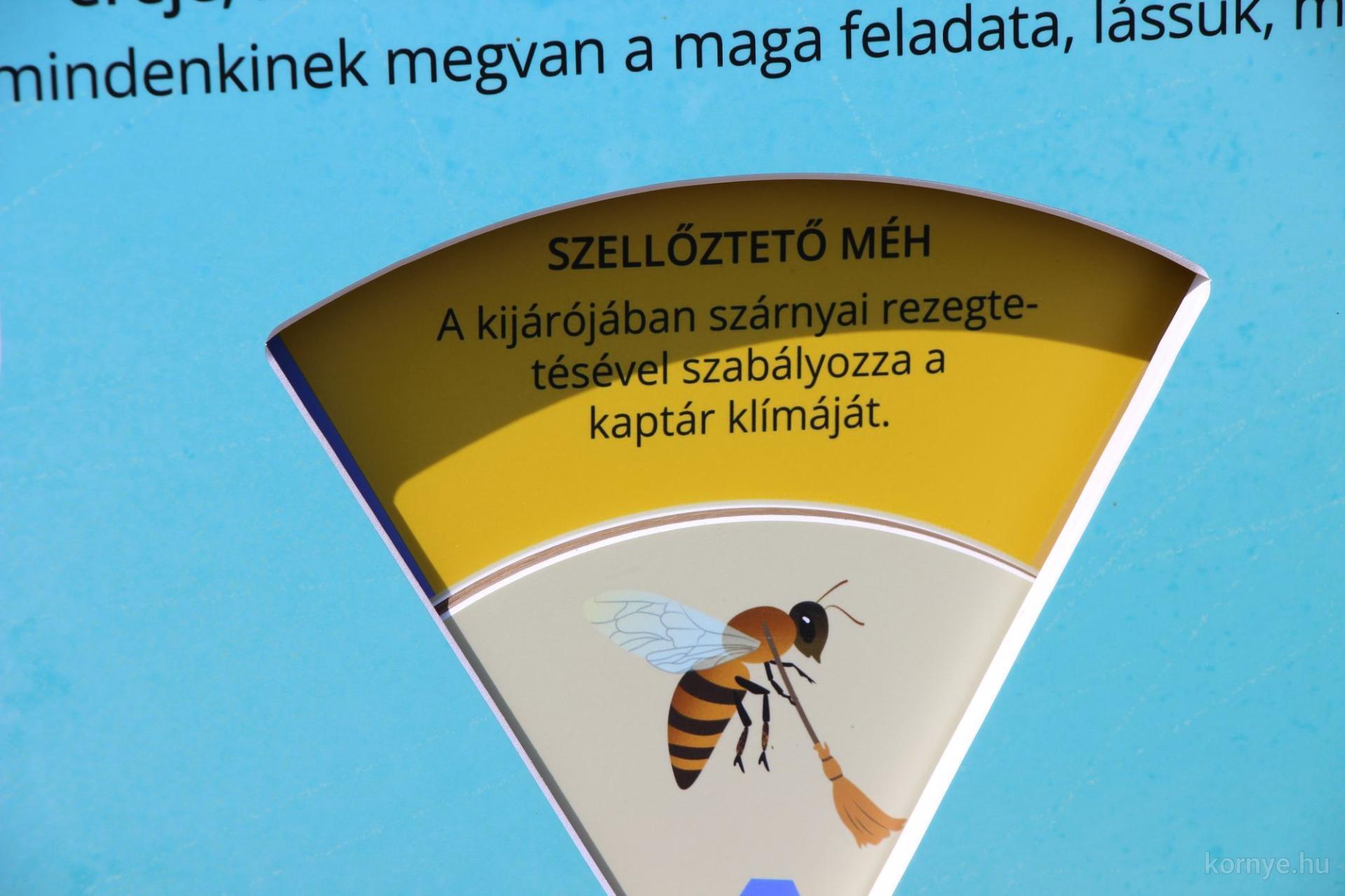 2025-05-20-zümmögő sétány