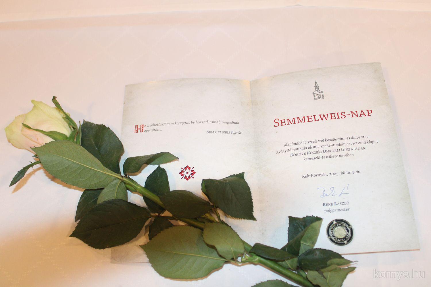 2025-07-03-semmelweis